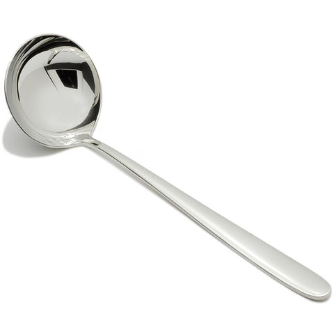 Large Stainless Steel Ladle,