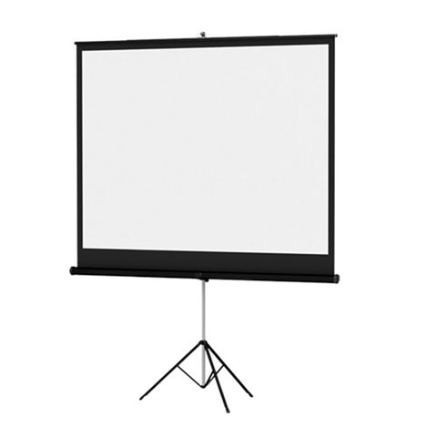 Screen, 70"x70"