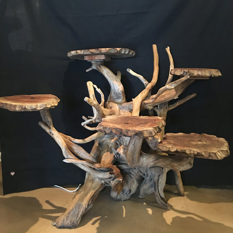 Rustic Tree Display Stand Large – Party Tents & Events | Santa Rosa, CA ...